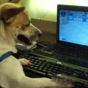 月入1000的兼職網(wǎng)上就可以實現(xiàn)