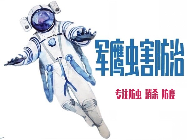 121111_conew1.jpg 121111_conew1.jpg